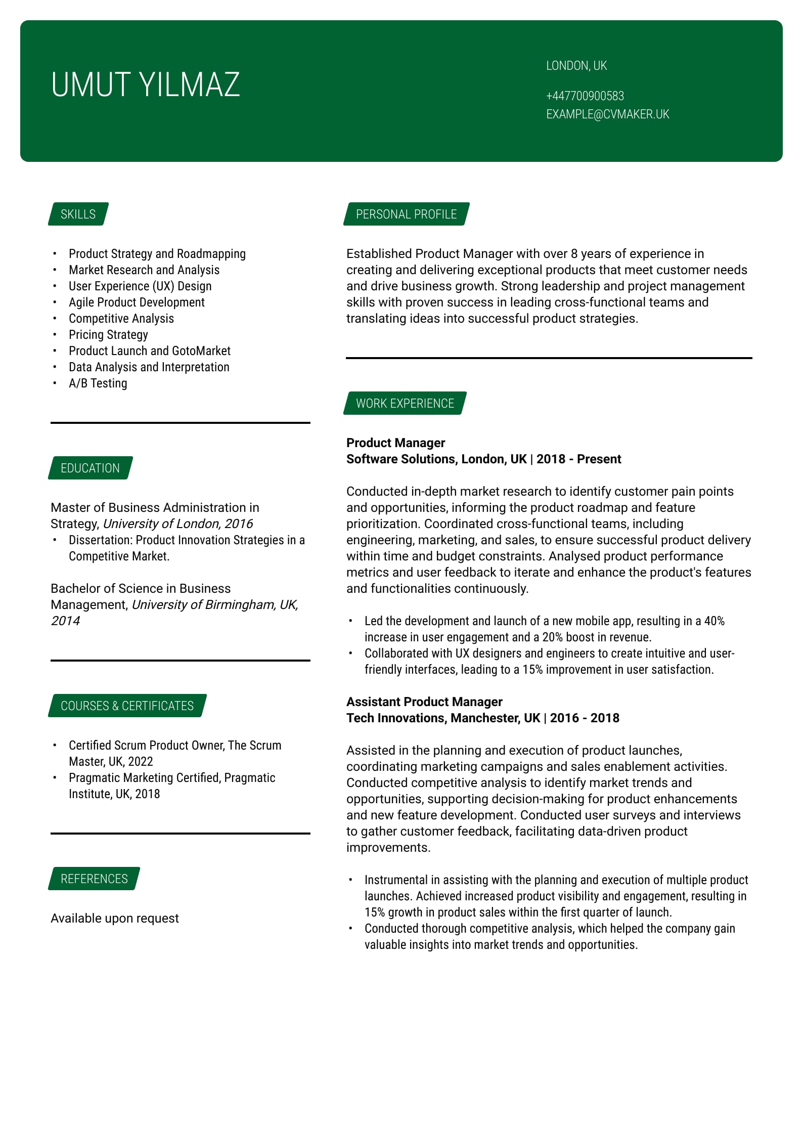CV example - Product Manager - Erasmus template