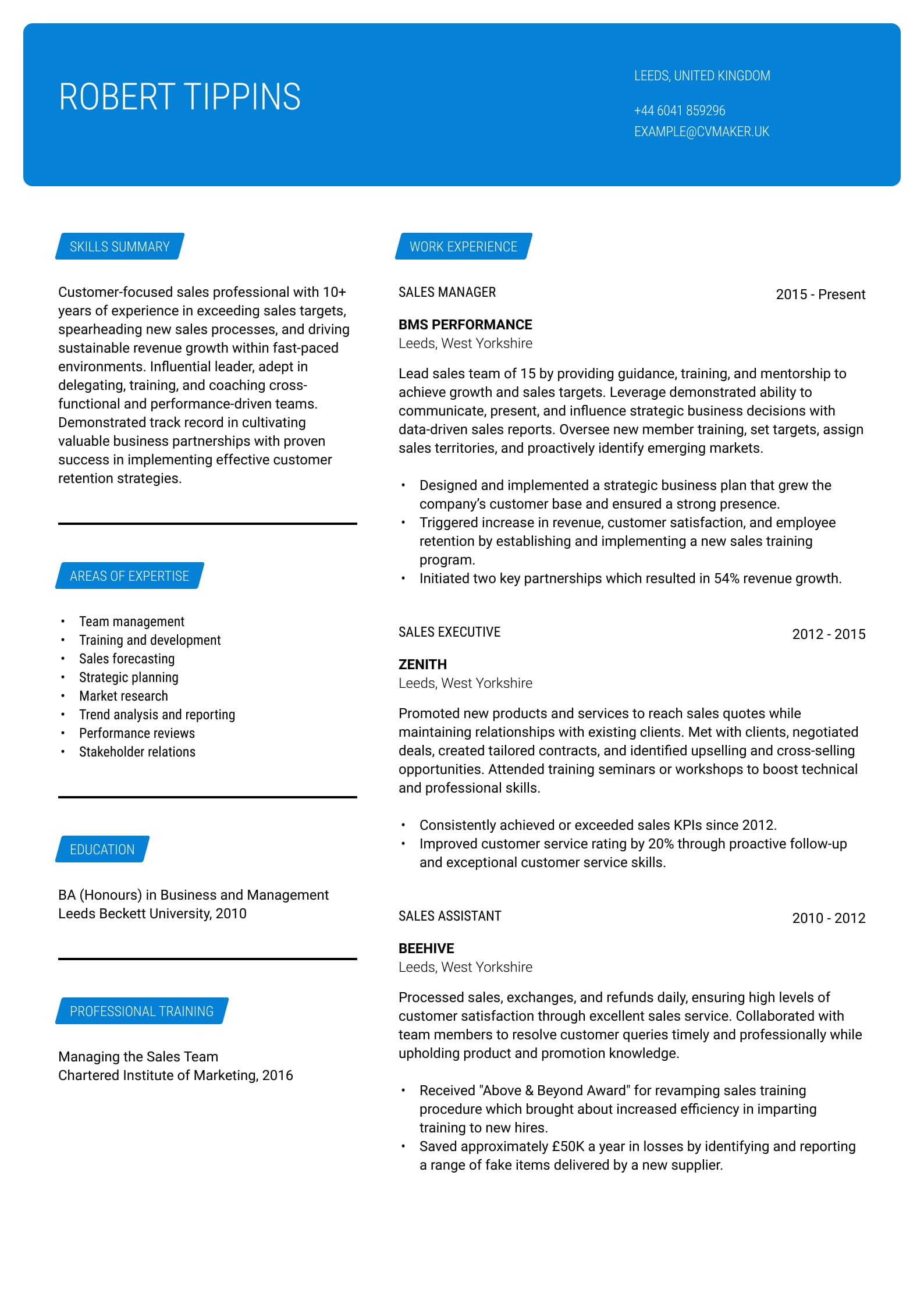 Sales Manager CV example