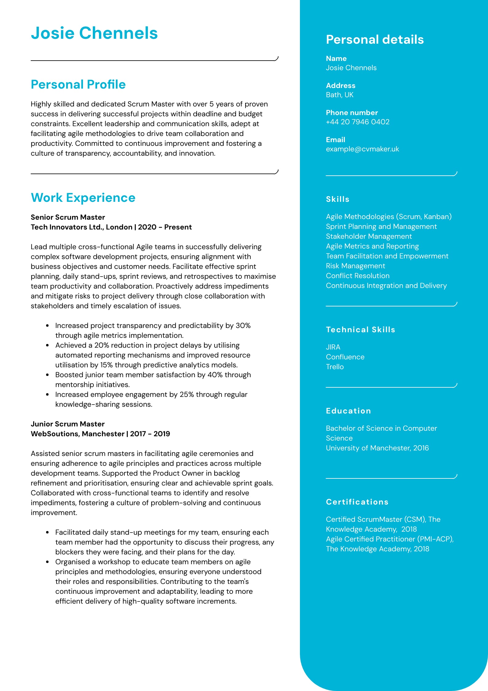 Scrum Master CV sample