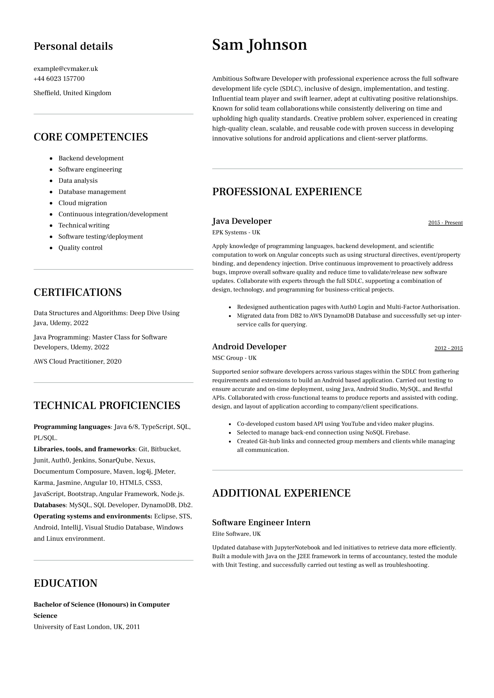 Software Developer CV example