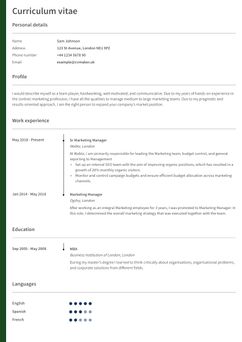 Choose template Oxford and create a professional CV
