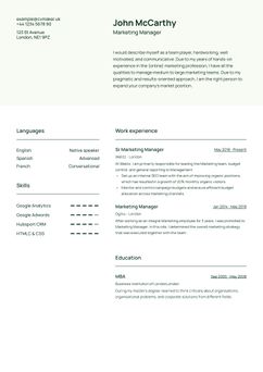 Choose template Wheaton and create a professional CV