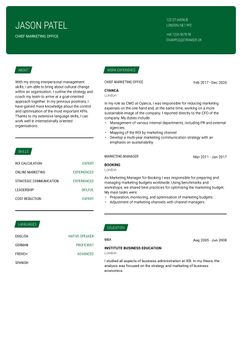 Choose template Cornell and create a professional CV