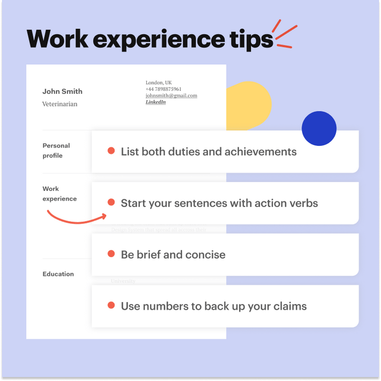 Vet CV work experience section