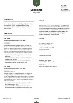 Choose template Peking and create a professional CV