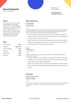 CV Template