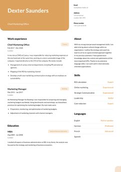 Choose template Columbia and create a professional CV