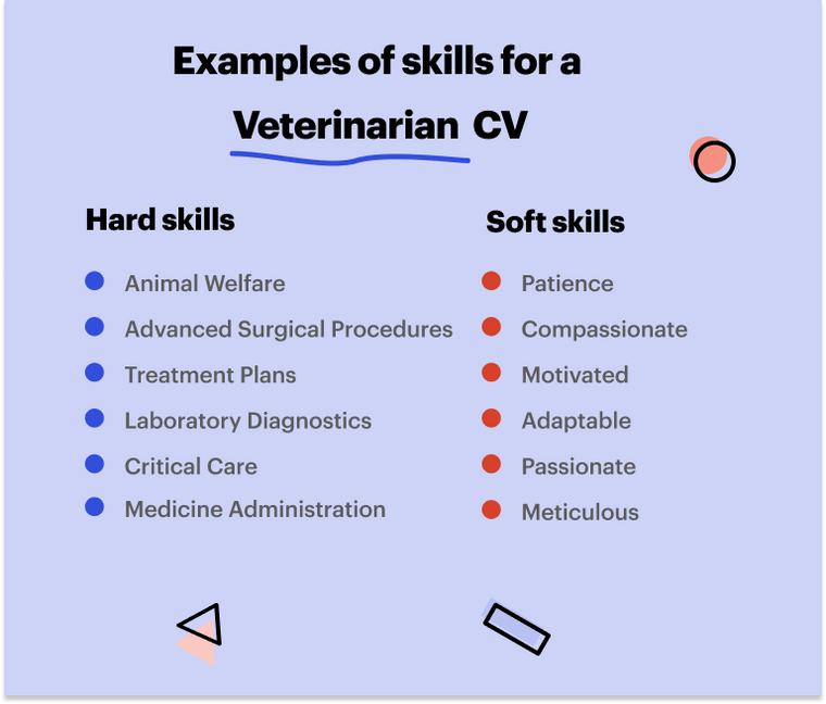 Skills for a vet CV