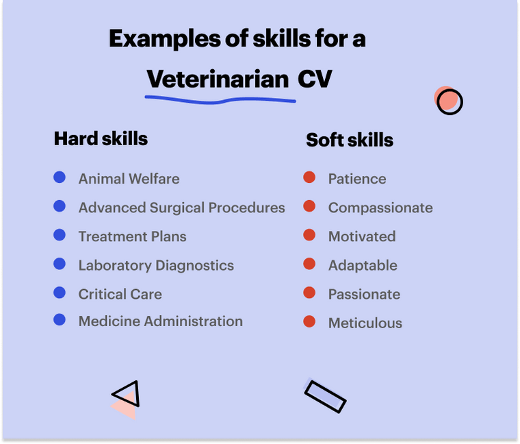 Skills for a vet CV Skills for a vet CV