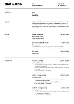 Choose template Wisconsin and create a professional CV