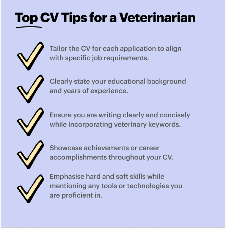 Vet top CV skills